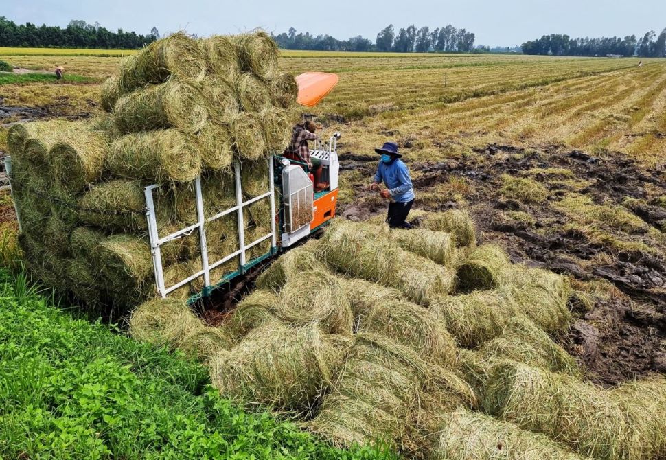 TÁI SỬ DỤNG PHỤ PHẨM NÔNG NGHIỆP BẢO VỆ MÔI TRƯỜNG